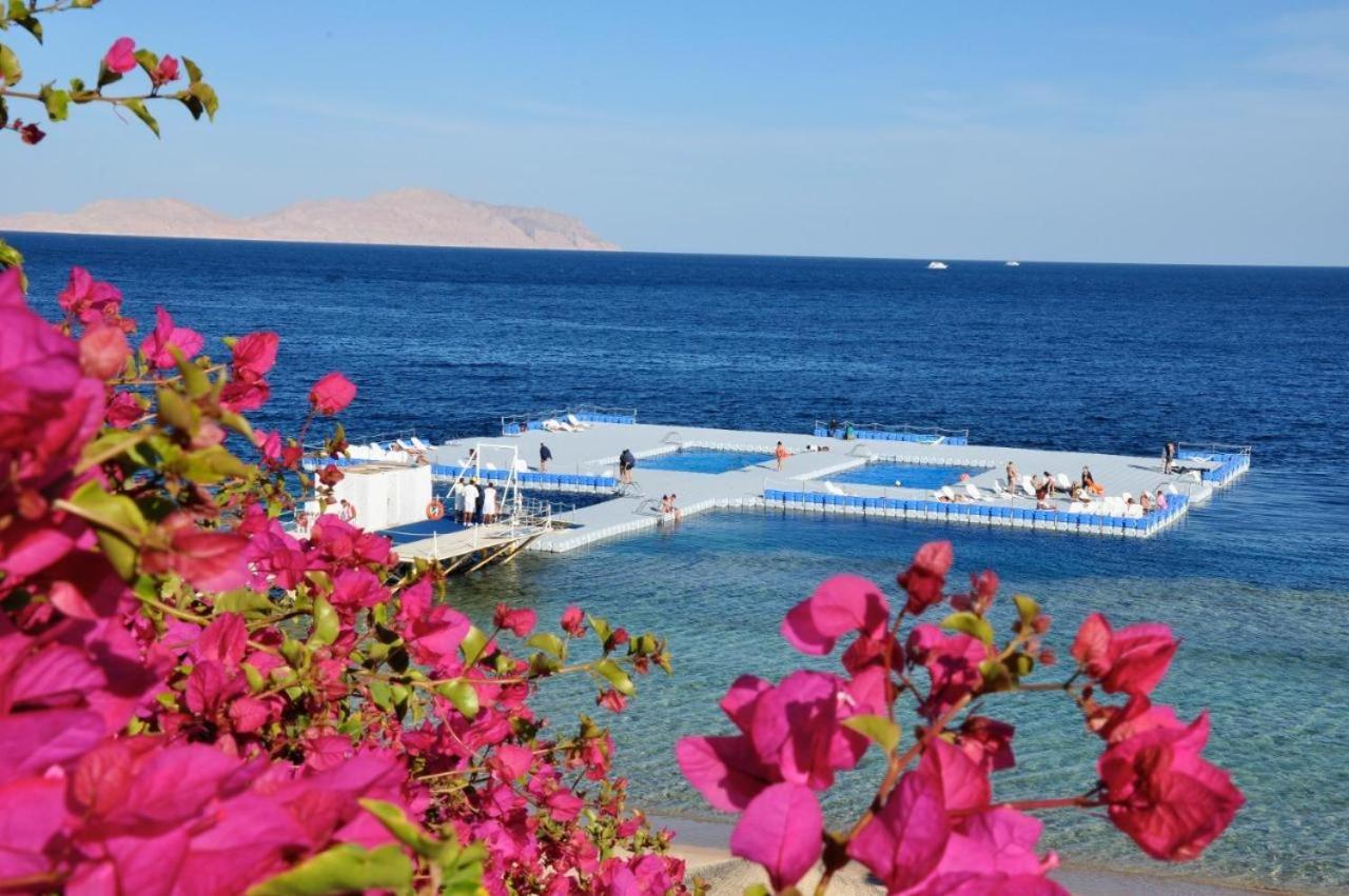 Grace House Domina Coral Bay Διαμέρισμα Σαρμ Ελ Σέιχ Εξωτερικό φωτογραφία